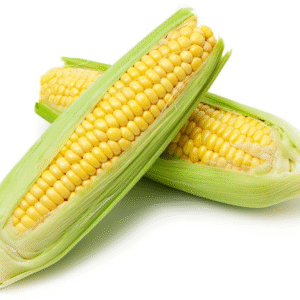 Yellow Corn (48ct)